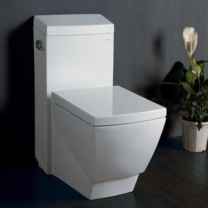 Best Toilet Reviews 2021 Check out These TOP 12 Choices!